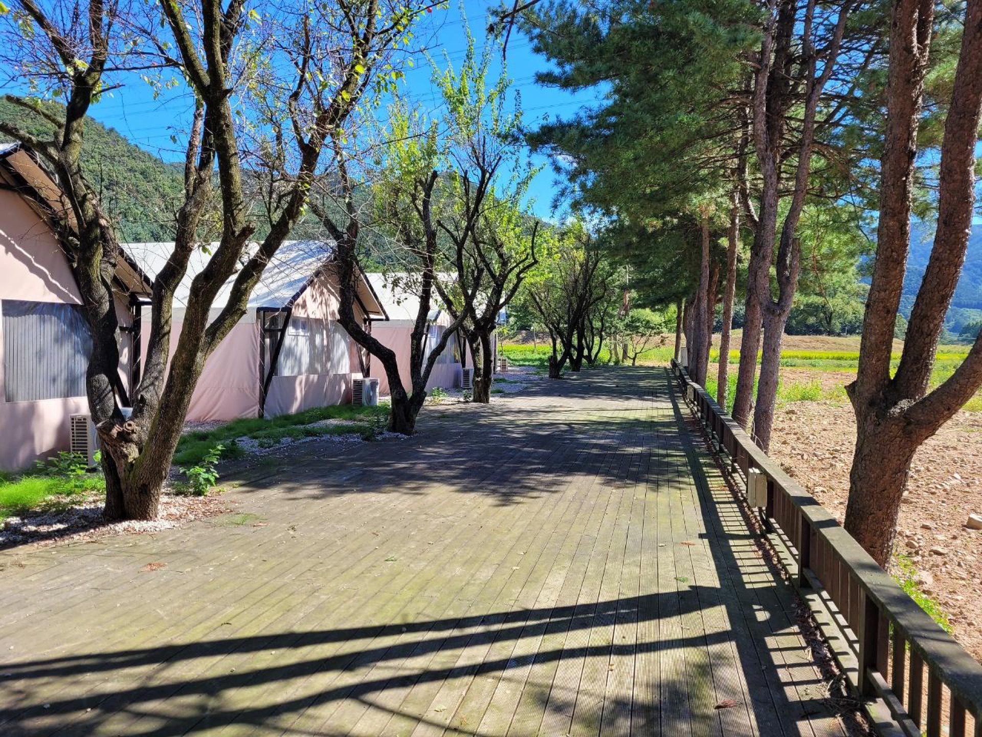 숲과 데크 산책로